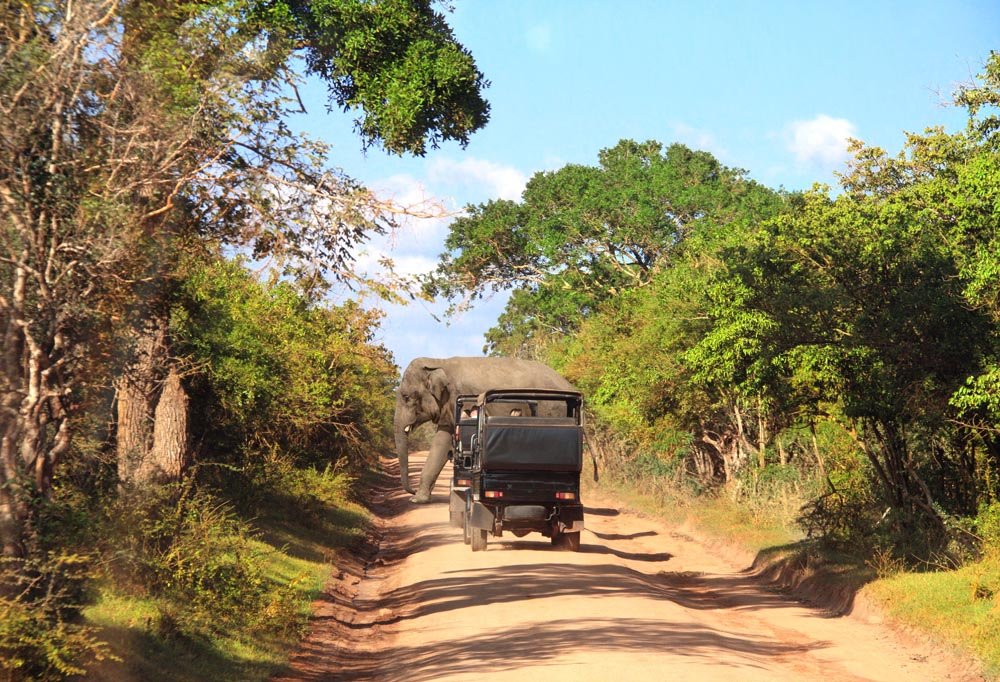 Beautiful Sri Lankan landscape with ancient temples and lush greenery, ideal for exploration with Srilankan Drivers and Guide's custom tours for families and couples.