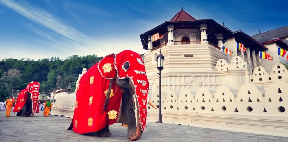 Kandy day tour with Sri Lanka Drivers and Guide, featuring the Temple of the Tooth and Asala Maha Perahara festival.